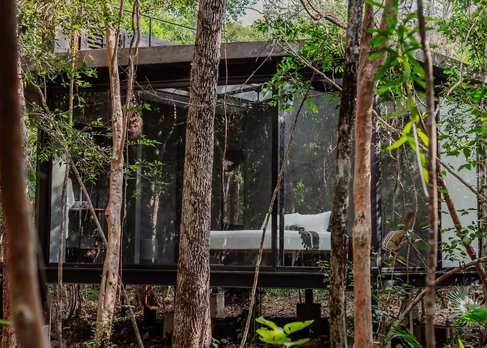 Sota Human Space Retreat Centre & Wellness Adults Only